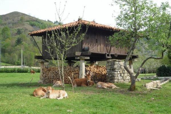 Hotel Rural Sucuevas (Adults Only) Llano-Con Eksteriør bilde